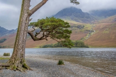 High Crag, Comb Beck