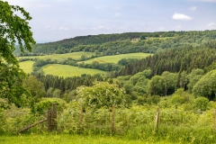 Cockerdale