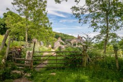 Carsington
