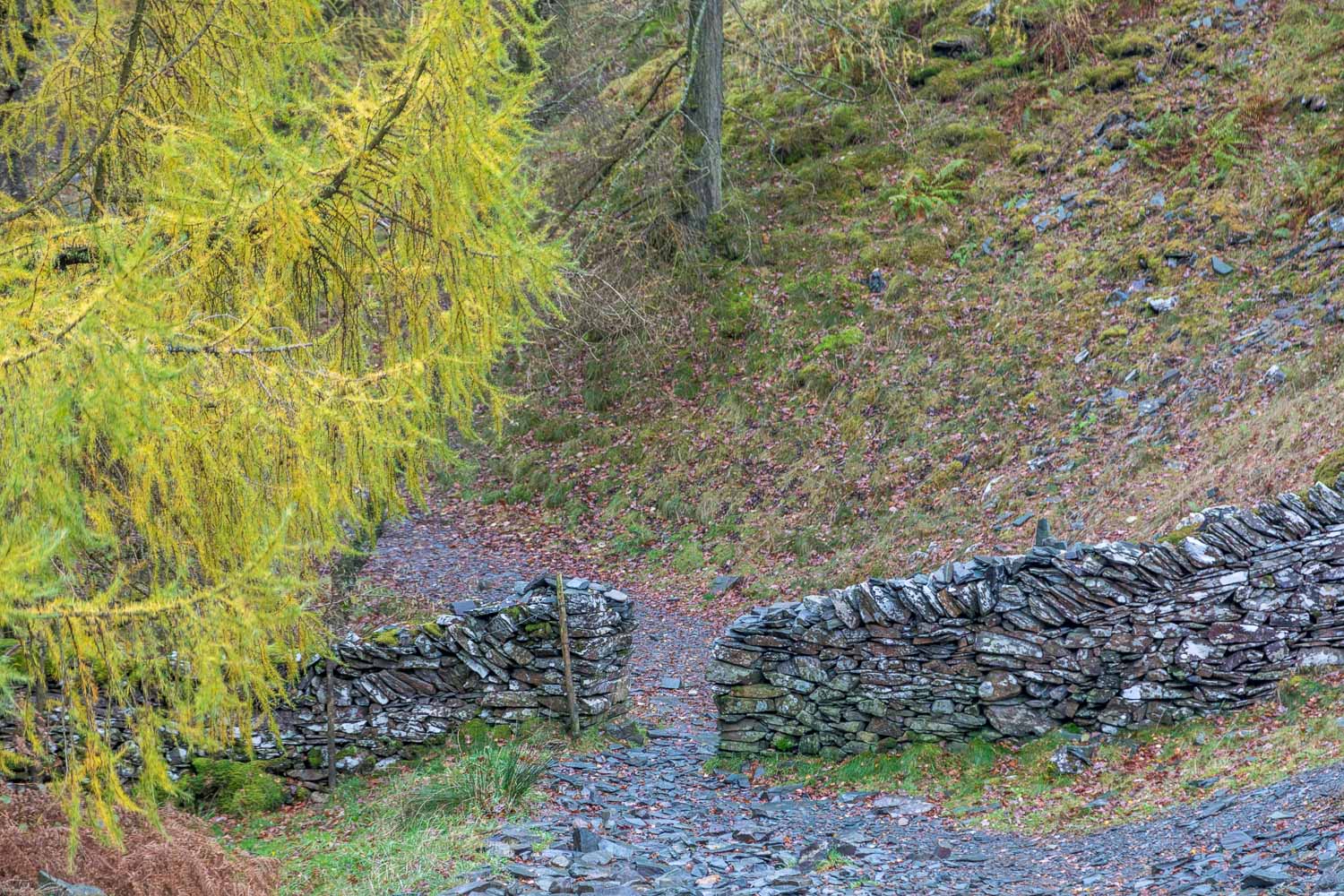 Castle Crag walk