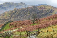 Borrowdale Fells