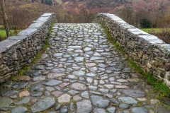 New Bridge River Derwent