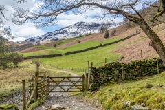 Castle Crag walk