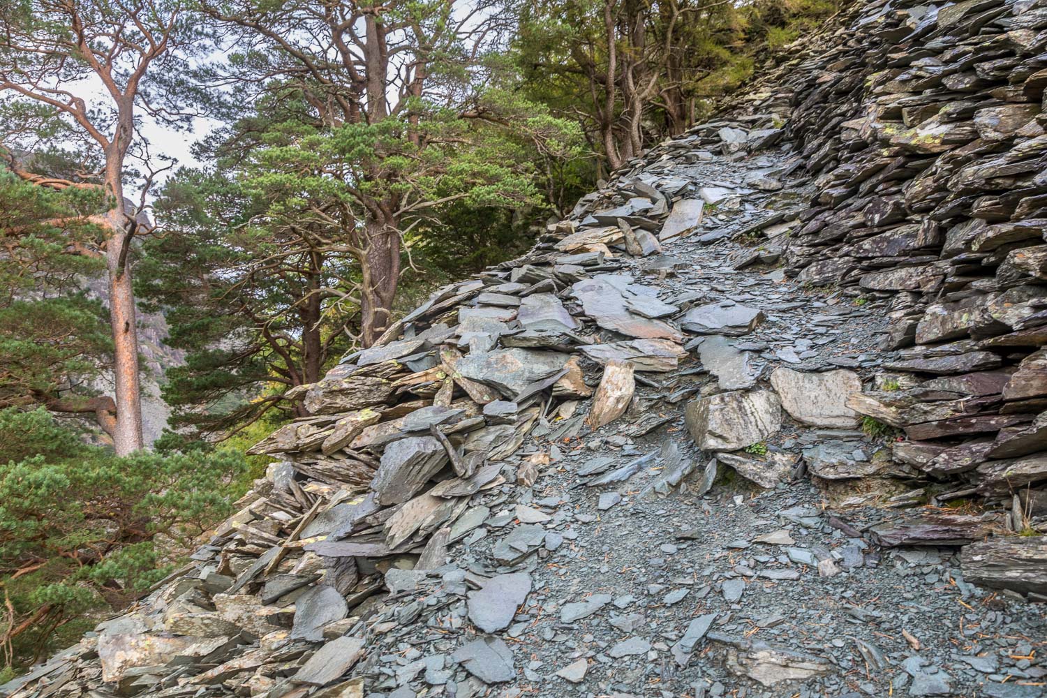 Castle Crag path