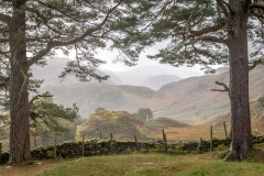 Castle Crag walk