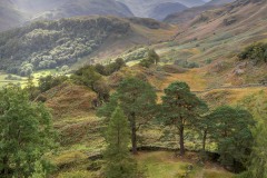 Castle Crag