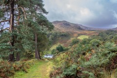 Seatoller