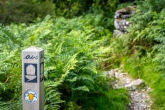 Borrowdale Coast to Coast walk