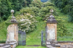Castle Howard walk