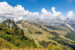 Tête de Tronchey