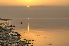 Hessle foreshore