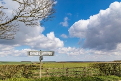 Chalkland Way