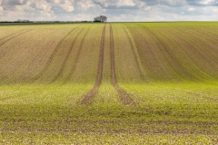 Chalkland Way