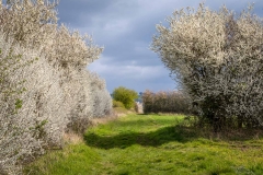 Chalkland Way