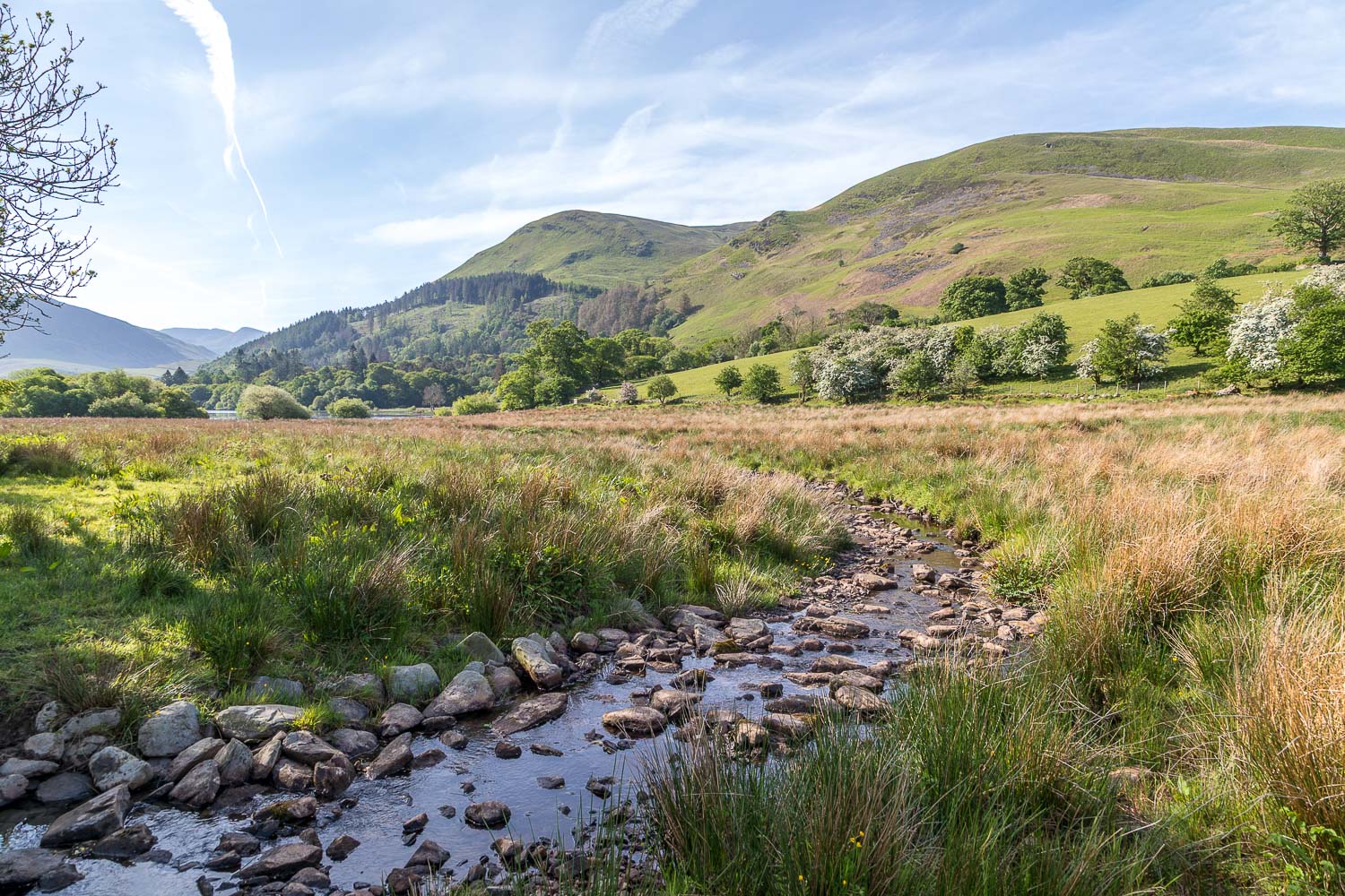 Dubs Beck, Loweswater Dubs Beck, Loweswater