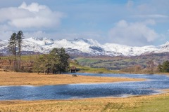 Wise Een Tarn, Coniston fells