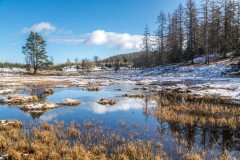 Highs Moss tarn