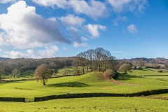 Claife Heights walk