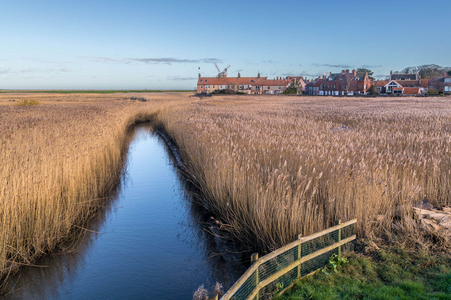 Cley next the Sea, reed beds