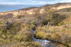 Kildonnan Sound, Kintyre