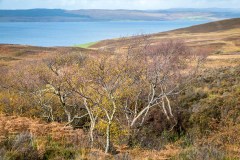 Kildonnan Sound, Kintyre