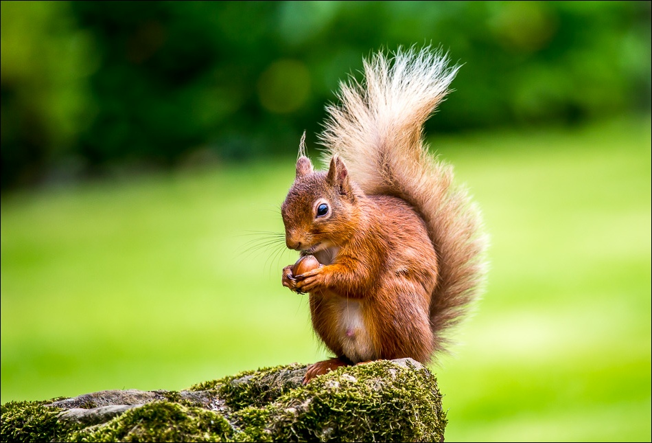Coniston Old Man-33 Coniston Old Man-33