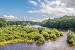 Corbridge walk, Corbridge Bridge, River Tyne