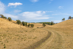 Cottam Well Dale