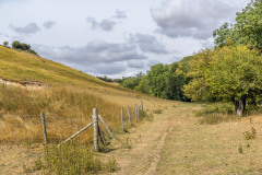 Cowlam Well Dale