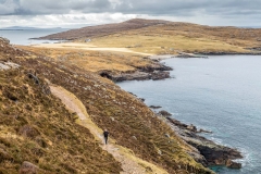 Huisinish