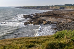 Craster walk,  Northumberland Coast Path