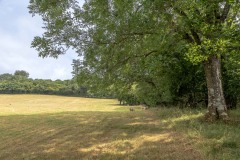 Craswall-14