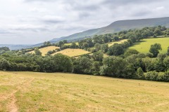 Black Hill