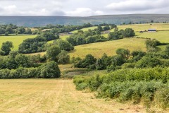 Craswall walk