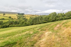 Hay Bluff