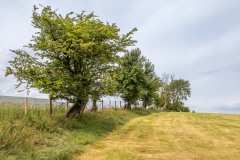 Three Rivers Ride bridleway