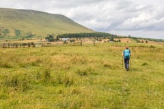 Hay Bluff