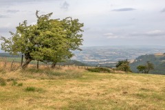 Monnow Valley