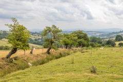 Craswall walk