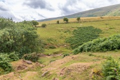 Craswall-30
