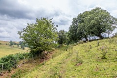 Craswall walk