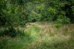 Craswall walk