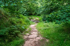 Craswall walk