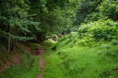 Craswall walk