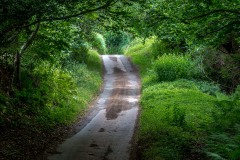 Craswall walk