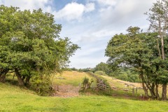 Craswall walk