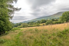 Black Hill