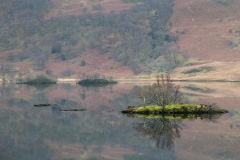 Woodhouse Islands