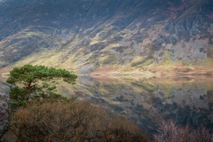 Reflections in Crummock Wate