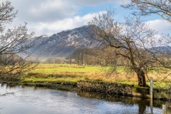 River Cocker
